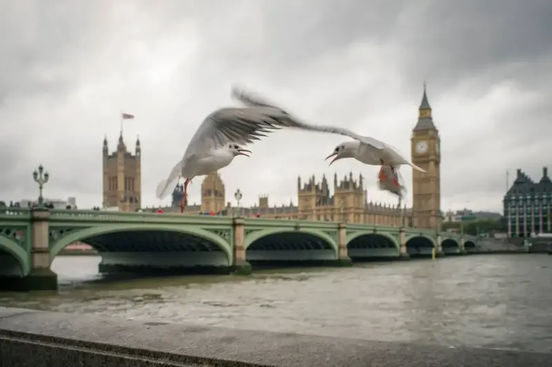 City of London, London, England, United Kingdom — Rainy day at London City