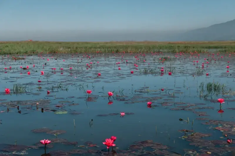 Inle Lake, Shan State, Myanmar — Inle Lake — photo captured with LEICA SL (Typ 601), VARIO-ELMARIT 1:2.8-4.0/24-90mm ASPH. OIS