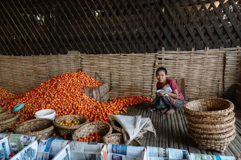 Inle Lake, Shan State, Myanmar — Inle Lake — photo captured with LEICA SL (Typ 601), VARIO-ELMARIT 1:2.8-4.0/24-90mm ASPH. OIS
