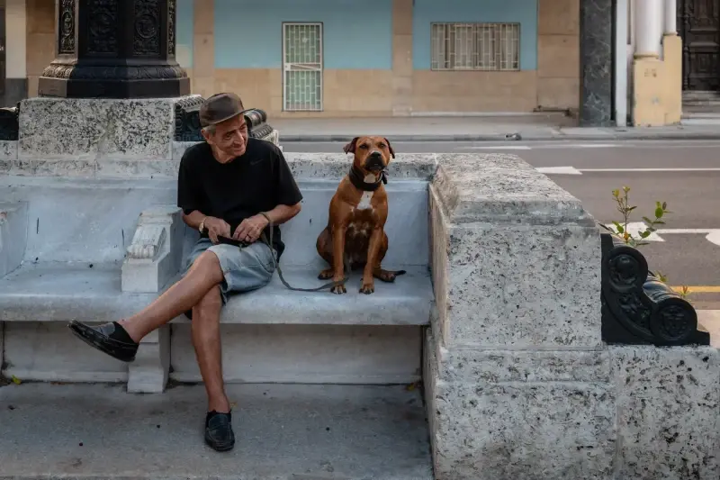 Paseo del Prado, Centro Habana, Havana, Cuba — La Habana. Paseo del Prado — photo captured with LEICA SL (Typ 601), VARIO-ELMARIT-SL 1:2.8-4/24-90 ASPH.